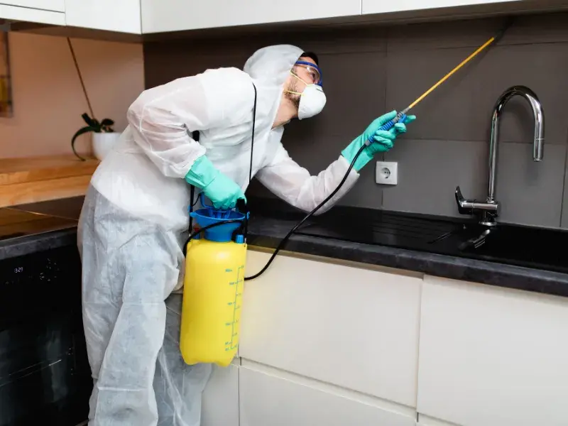 Pest Control Services in Thane
