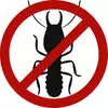 Termite control in Mumbai