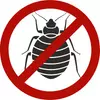 Bed Bug Control