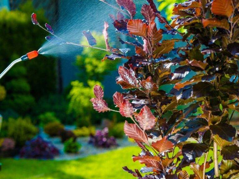 Best Pest Control Services in Mumbai Super India Pest Control