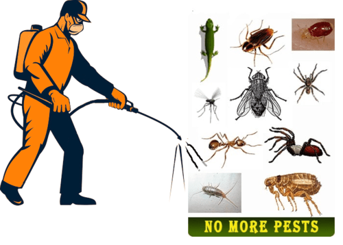 General pest Control